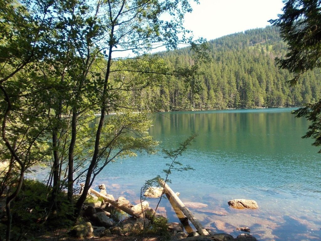 Výlet k Černému jezeru by měl podniknout každý, kdo se rozhodl zavítat do malebného prostředí Šumavy.
