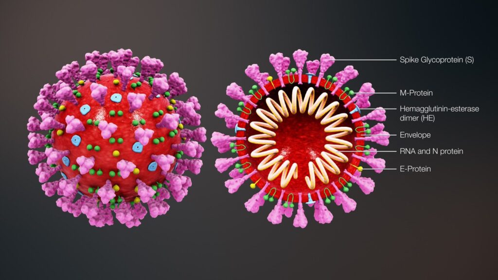 Dle odborníků nebudou následky pandemie koronaviru z hlediska počtu obětí tak hrozivé, jako tomu by v případě španělské chřipky.