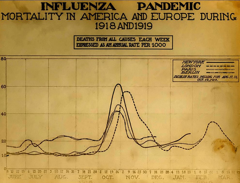 Nejničivější vlna španělské chřipky probíhala od pozdního léta do listopadu 1918.