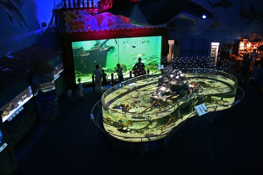 Součástí stálé expozice v ZOO Mořský svět je několik desítek akvárií s mořskými i sladkovodními druhy ryb.